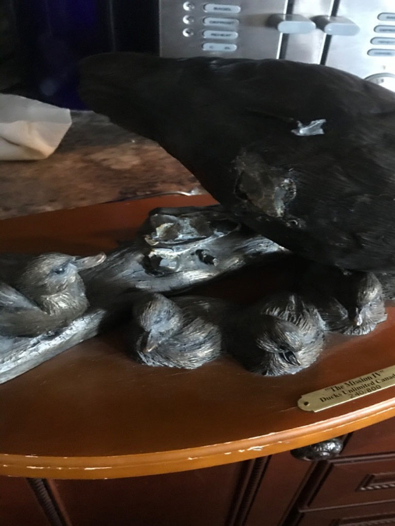 Second photo by Tari Yates of Atlantic Van Lines - Large