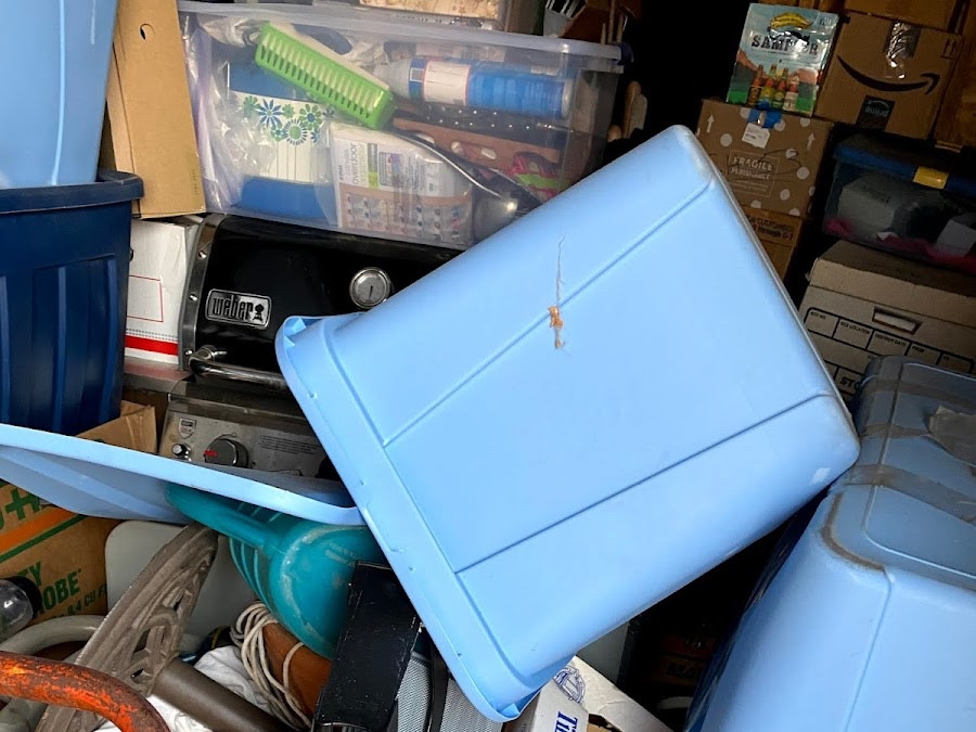 Photo by Rob Anmar of MD Transportation Group - Large