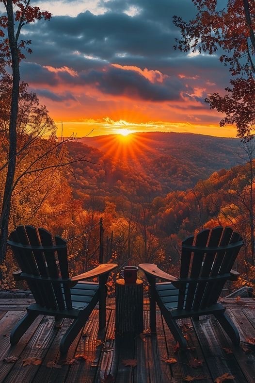 Photo by Regine Jerome of Dumbo Moving and Storage - Large