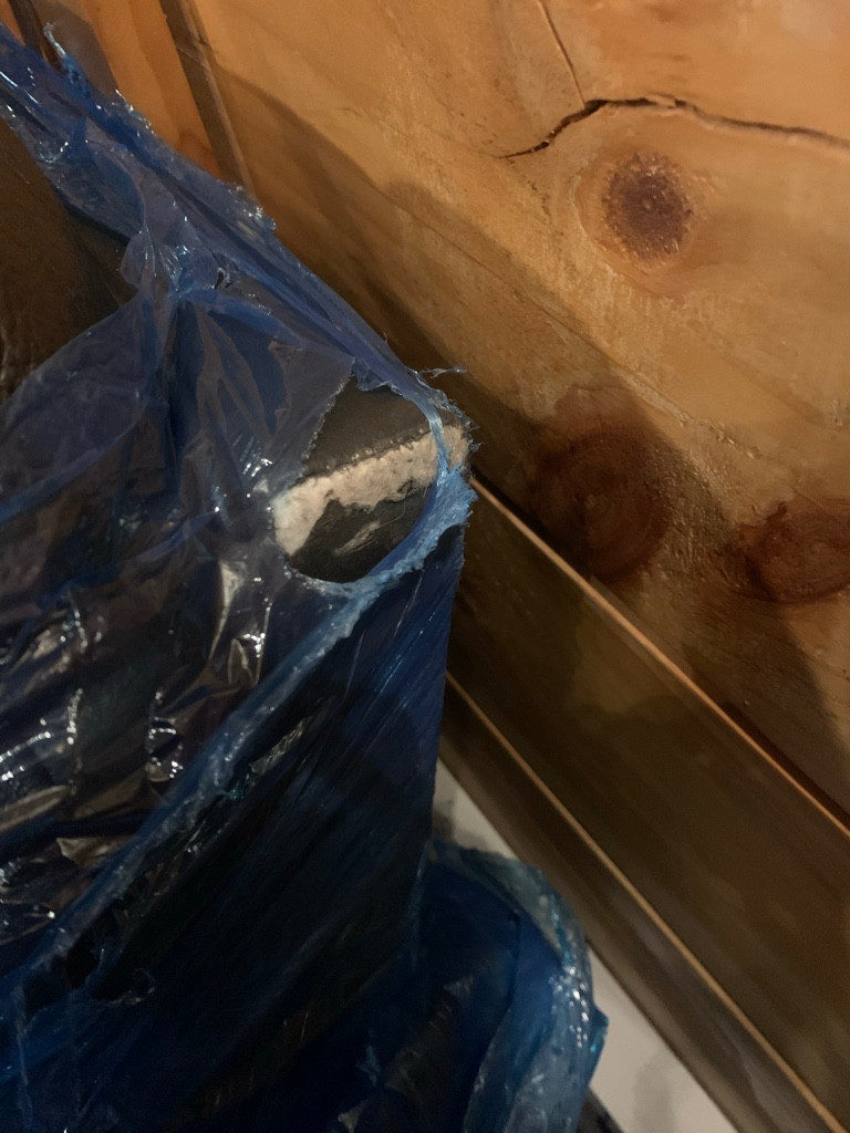 Second photo by Sandrela Magnuson of Priceline Logistics LLC - Large