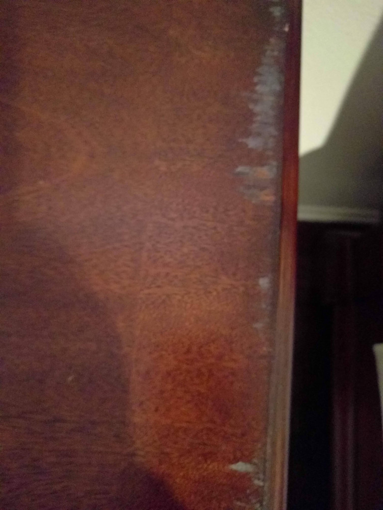 Photo by Tina Yeh of AMAX Auto Transportation INC - Large