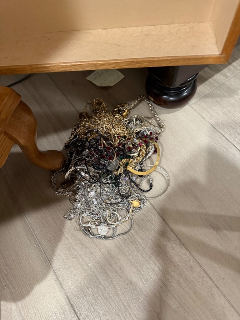 Photo by Karen Fortuna of All My Sons Moving and Storage - Large