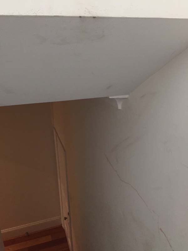 Second photo by Scott Martin of Grace Removals Group - Large