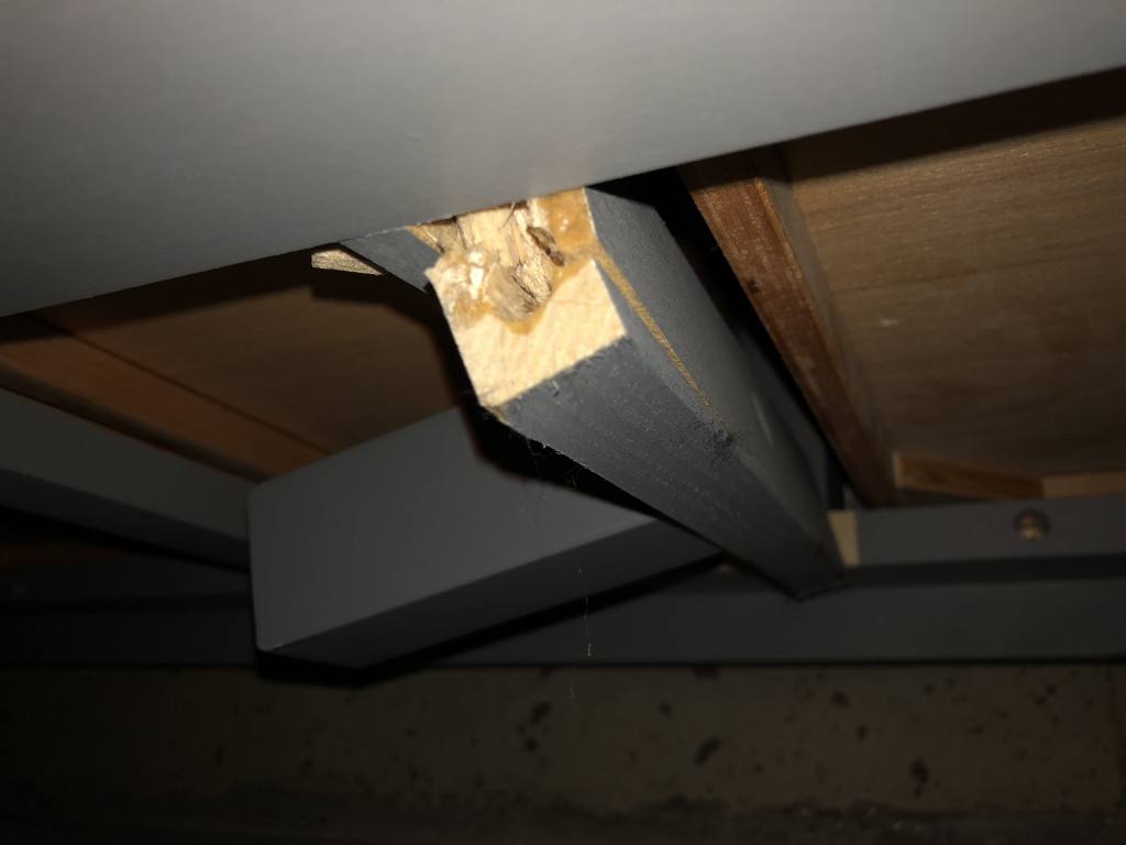 Photo by Jim Berta of Eko Movers - Large