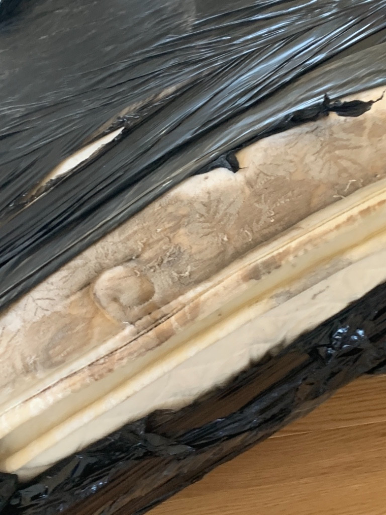 Photo by Richard Herget of Purple Heart Moving Group - Large