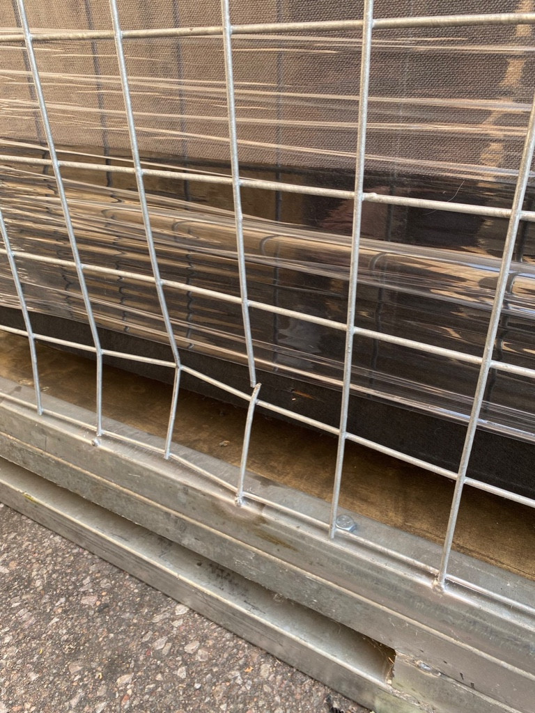 Second photo by Mandi Cragoe of Zippy Shell Incorporated - Large