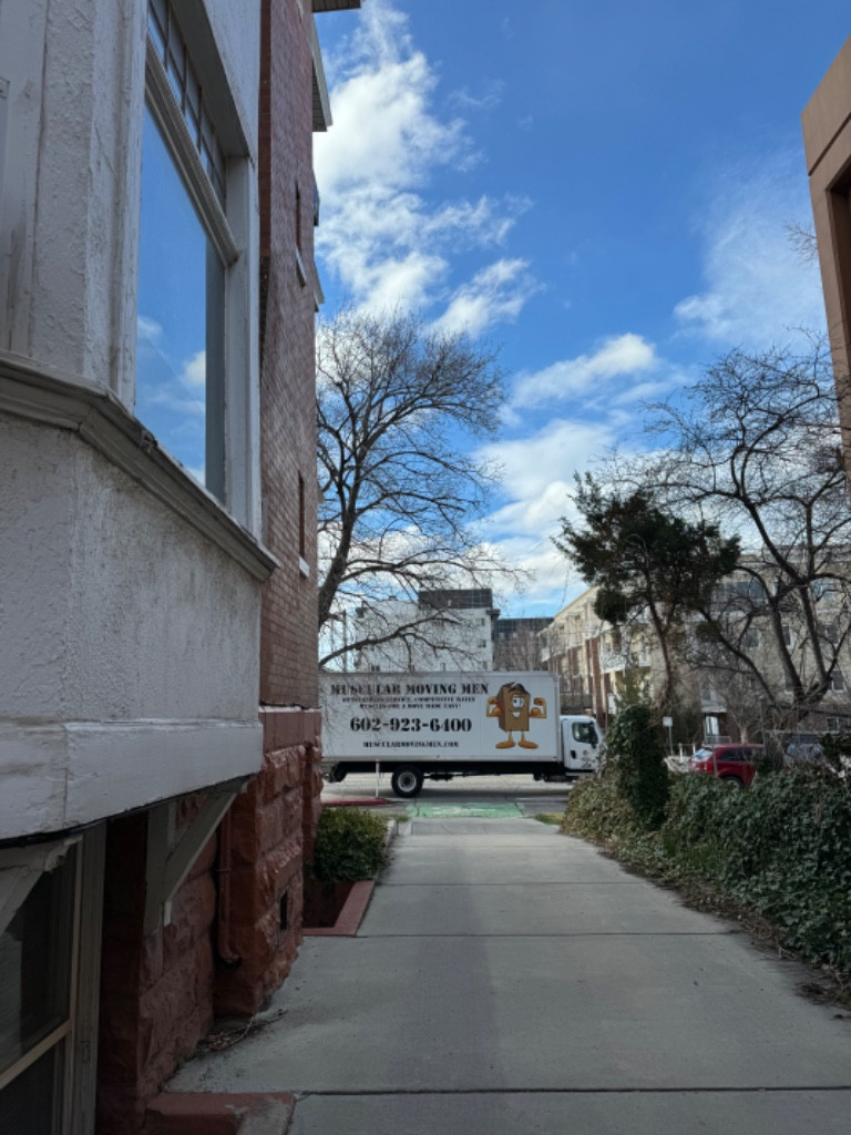 Photo by Erica Newell of Muscular Moving Men - Large