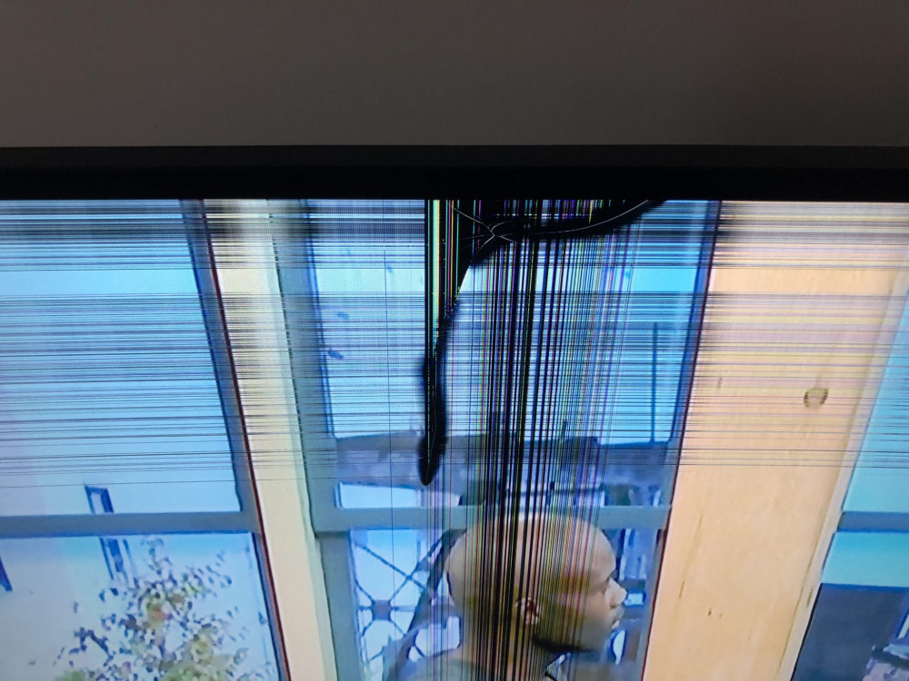 Photo by Kristi Scalo of Tiger Movers Inc. - Large