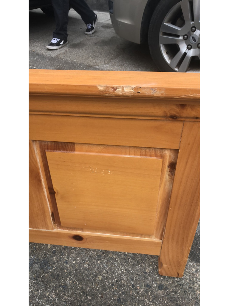 Photo by Casey Weber of Zippy Shell Incorporated - Large