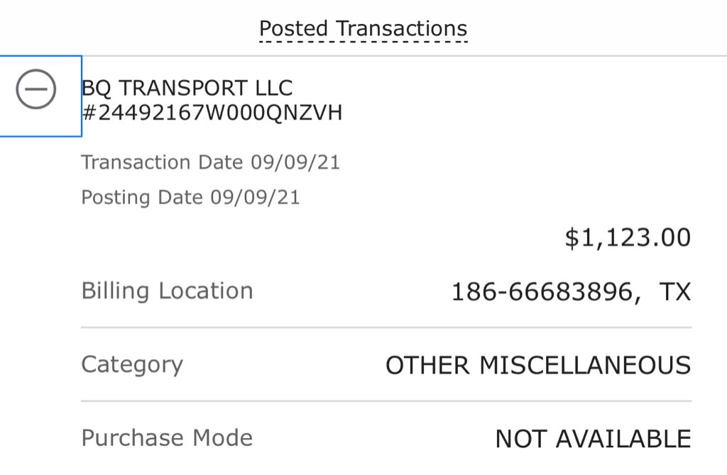 Second photo by Melissa Pacheco of BQ Transport - Large