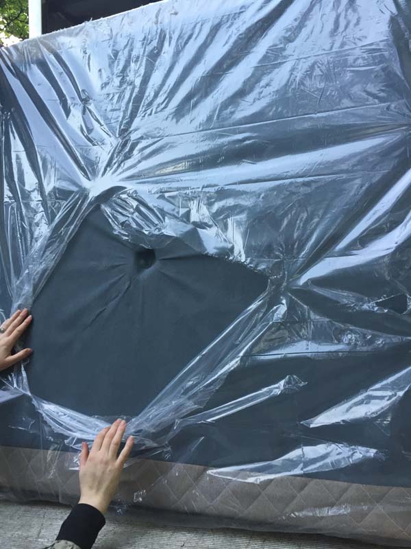 Second photo by Peter Schupska of Schea Van Lines - Large