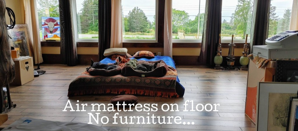 Photo by Beverly Ledrew of Centennial Moving - Large