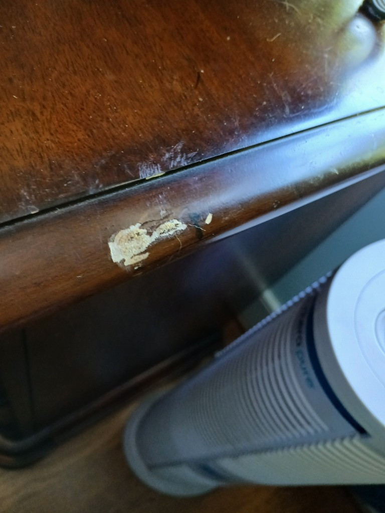 Photo by Sharon Necaise of Northern Elite Van Lines - Large