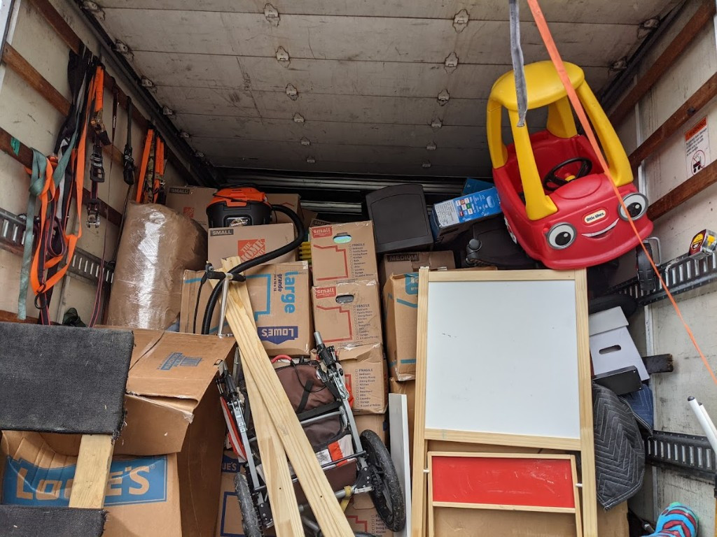 Photo by Brendan Keeley of Zippy Shell Incorporated - Large