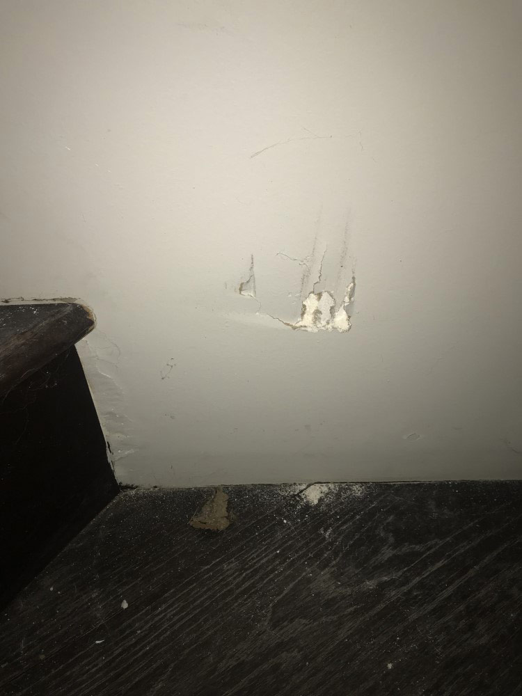 Second photo by Sean of Presidential Moving Services - Large