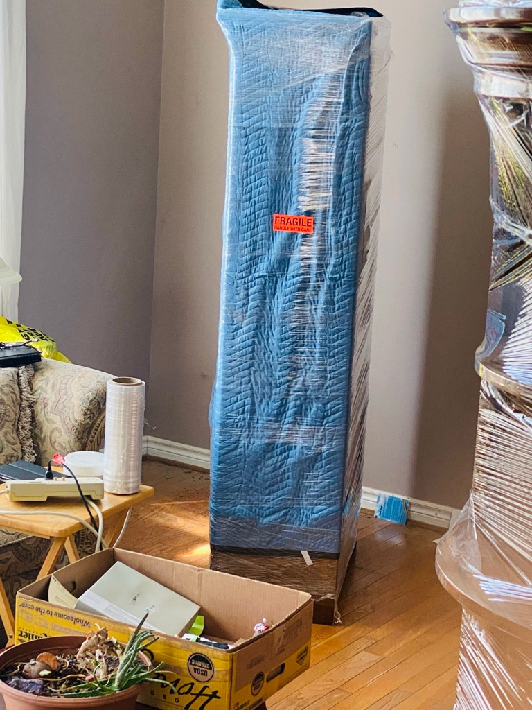 Photo by Kumar Arun of Nest Movers Ltd - Large