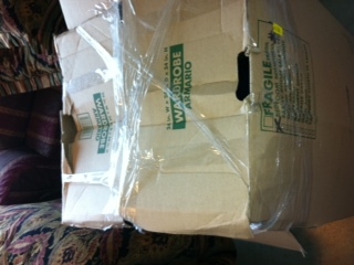 Second photo by David Fernandez of 1st Generation Moving - Large