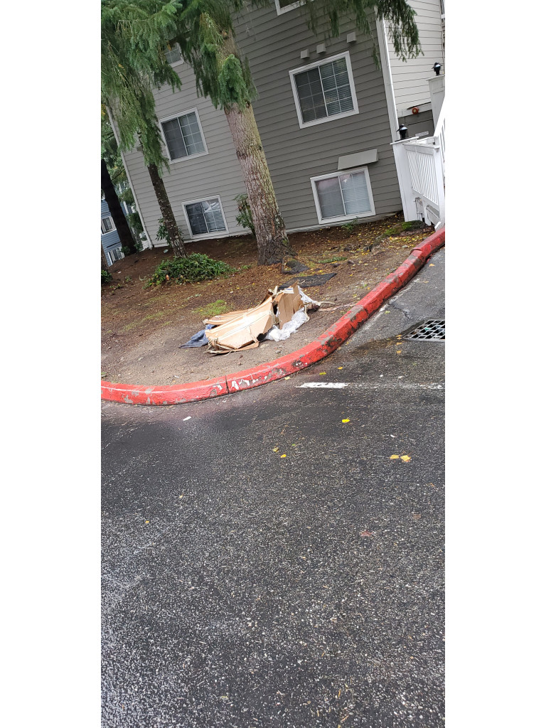 Second photo by Angelina Paese of Moving Relocation Systems - Large