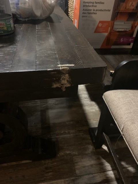 Second photo by Callie Stringham of Coast 2 Coast Van Lines - Large