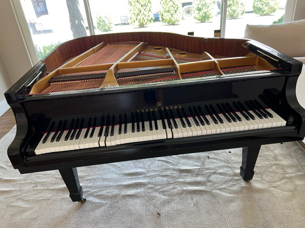 Photo by Bek Jacks of New Leaf Moving Group - Large