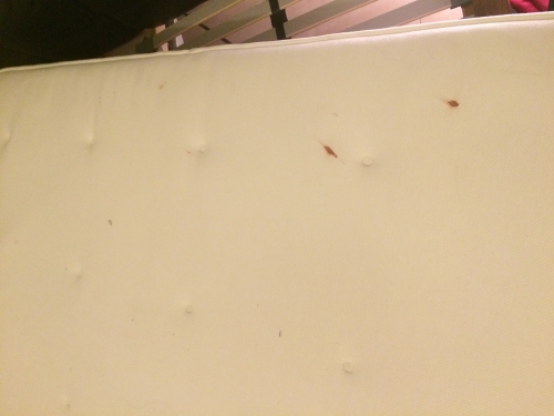 Photo by Sina of Movinga - Large