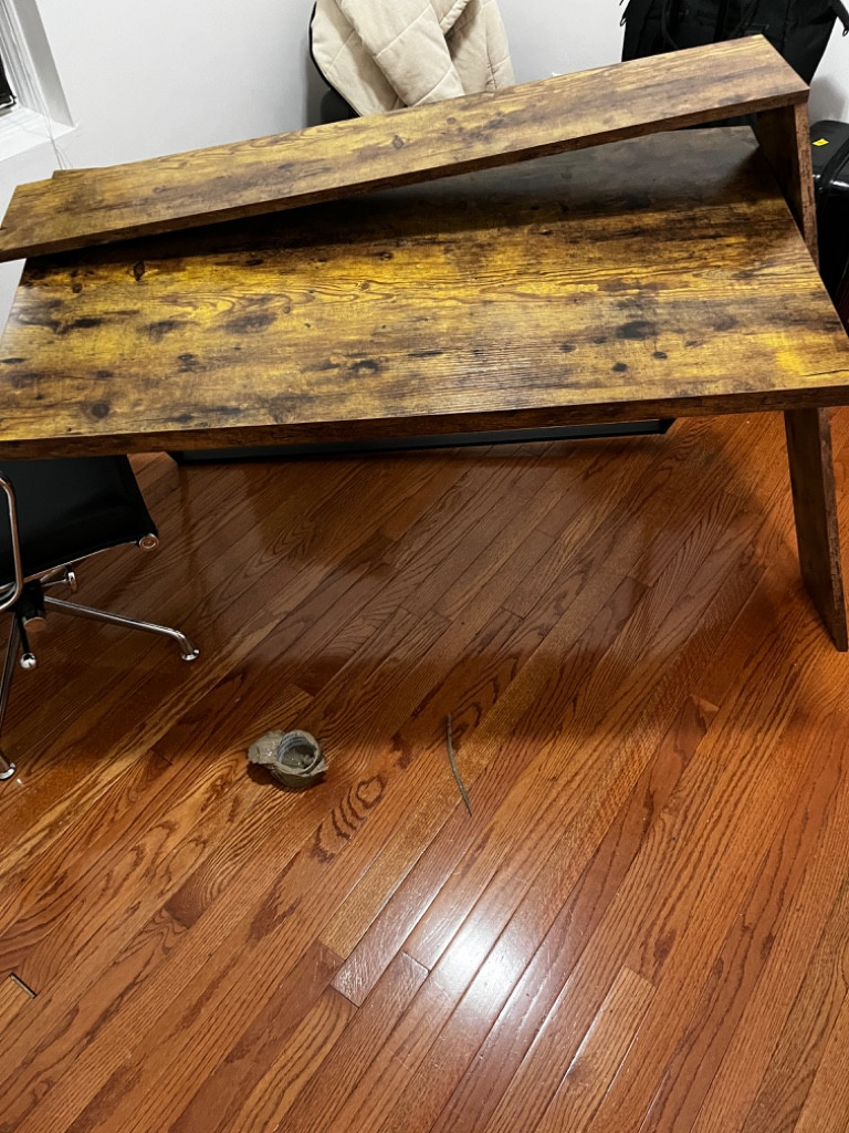 Second photo by Samer Abraham of Best American Movers - Large