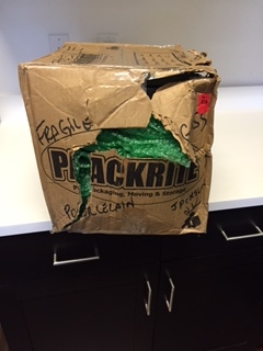 Photo by Jackson of AV Moving - Large