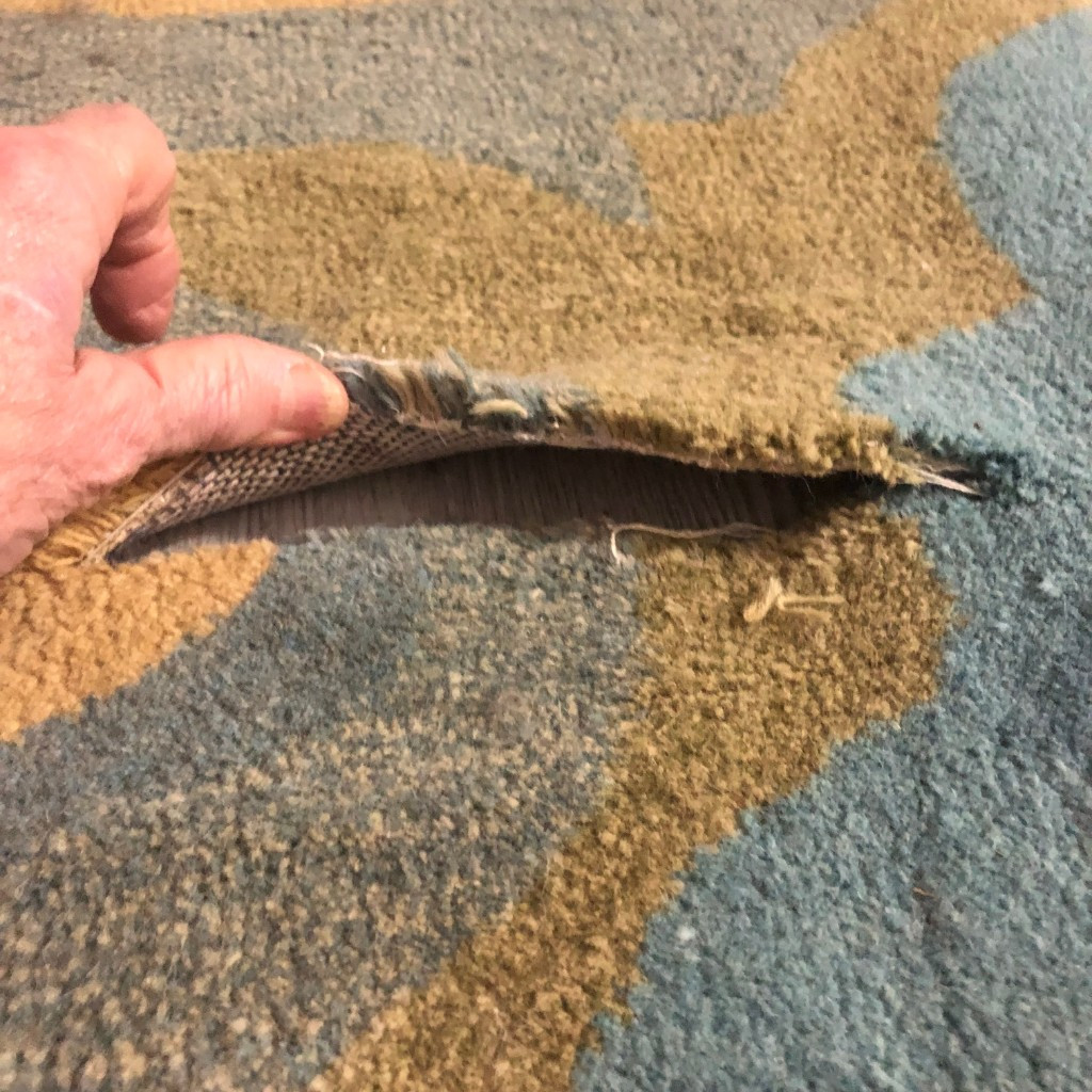 Photo by Michele Stern of Davi & Valenti Movers - Large