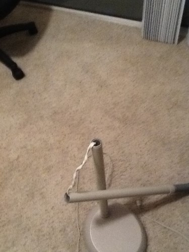 Photo by Leslie Fraley of American Knights Moving - Large