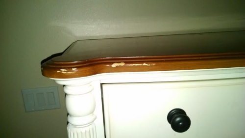 Second photo by Dominic Giovanetti of Unlimited Van Lines Inc. - Large