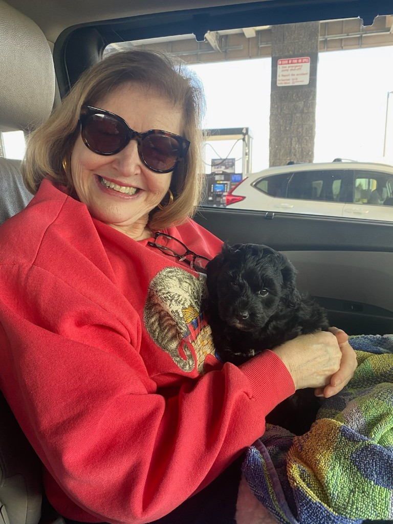 Photo by Fran Nichols of Kentuckiana Moving LLC - Large