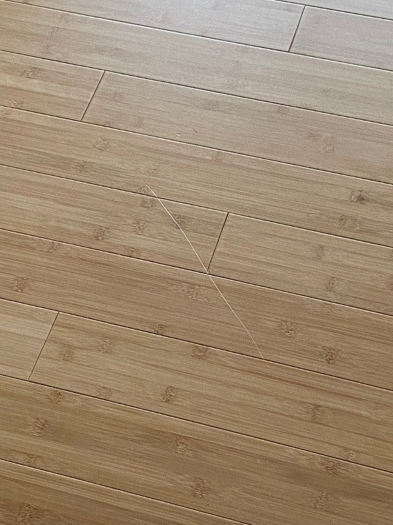 Photo by Linda Dimezza of Van Express Moving & Storage - Large