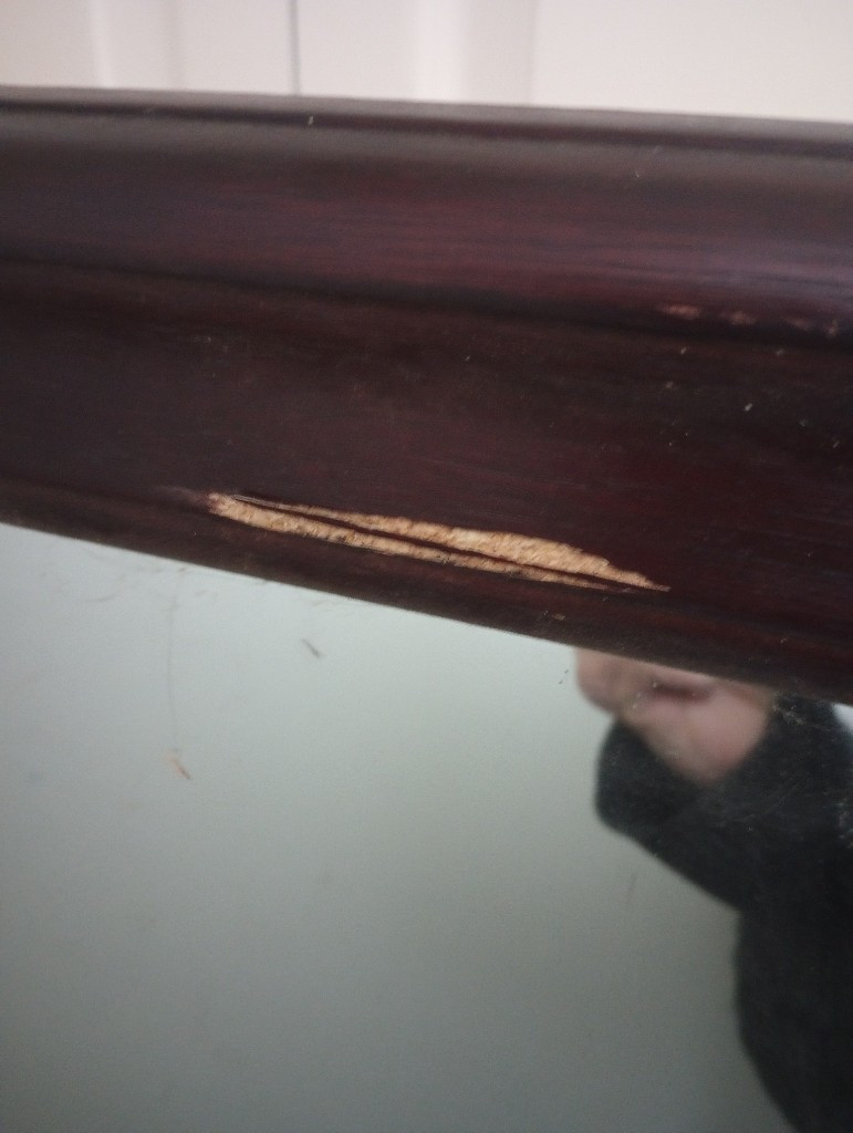 Second photo by Annamarie Duttweiler of GMR Transport Solutions LLC - Large