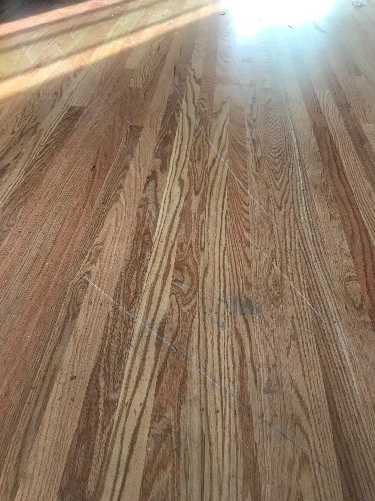 Photo by Mike Mensing of Alltrust Movers - Large