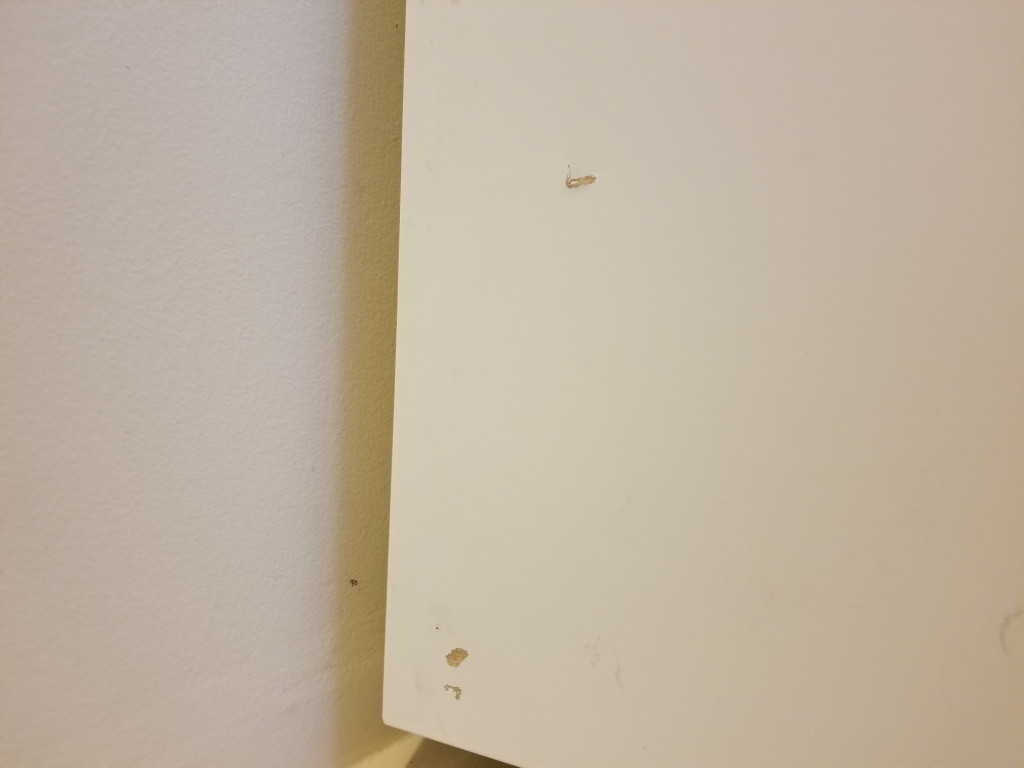 Second photo by Carly Bohanos of Good Place Moving - Large