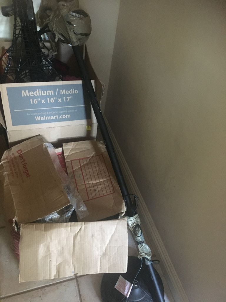 Second photo by Mara White of Anthem Moving LLC - Large