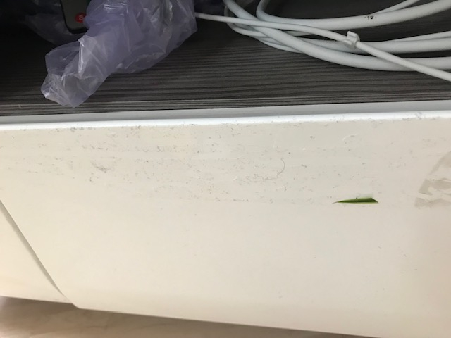 Photo by Claudia  of Umzug Linz - Large