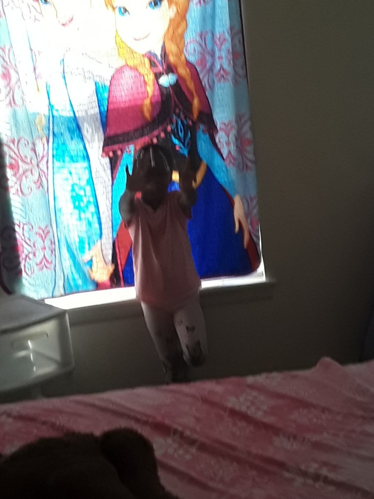 Second photo by Jean Clark of Milestone Relocation Solutions - Large