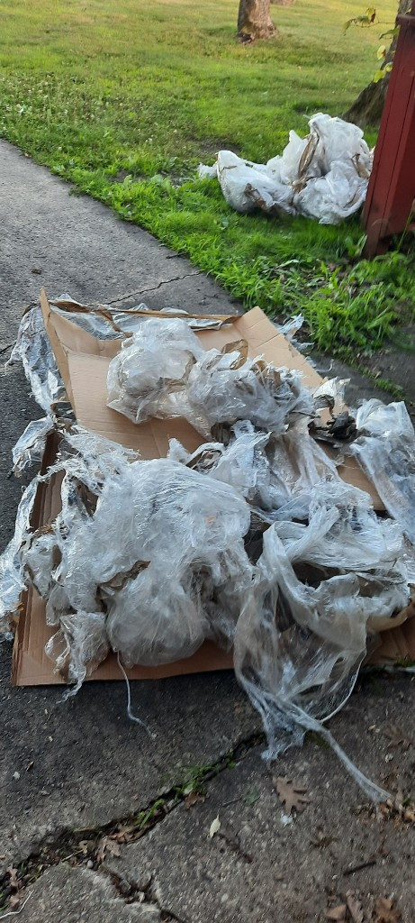 Photo by Jeremy Goode of Guardian Van Lines LLC - Large