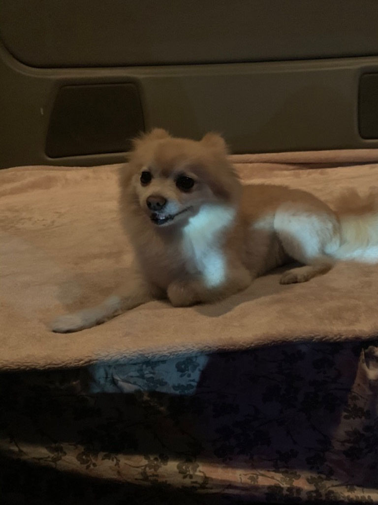 Photo by Galina Zsumski of Navy Seals Moving - Large