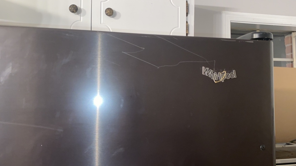 Photo by Nicole Sankey of Motivated Movers - Large