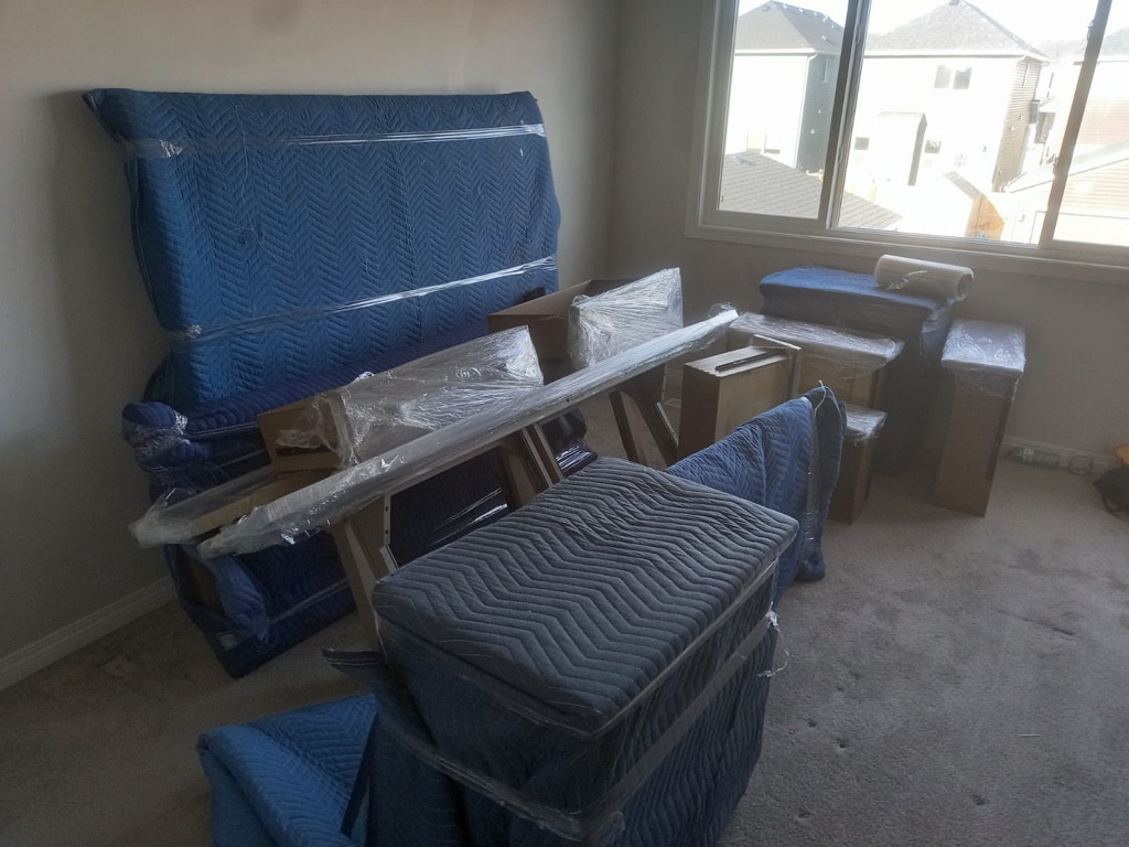 Photo by Michael Bykov of High Level Movers - Large