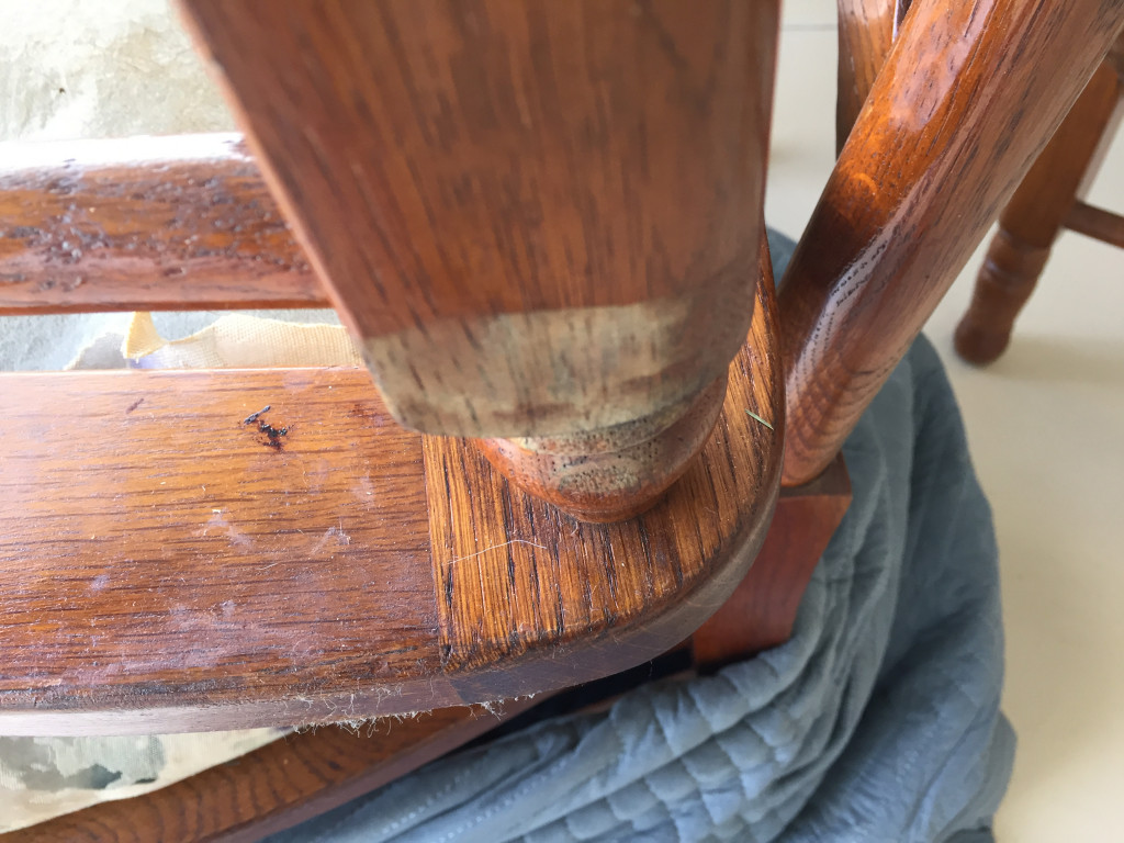 Photo by Carol A Mrowka of Rayan Van Lines - Large