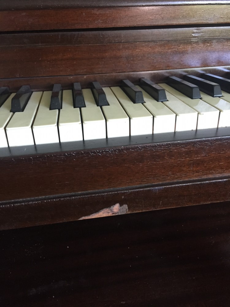 Second photo by Andrea of Atlantic Van Lines - Large