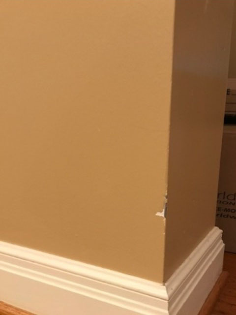 Second photo by Izzy Taylor of Dependable Movers LLC - Large