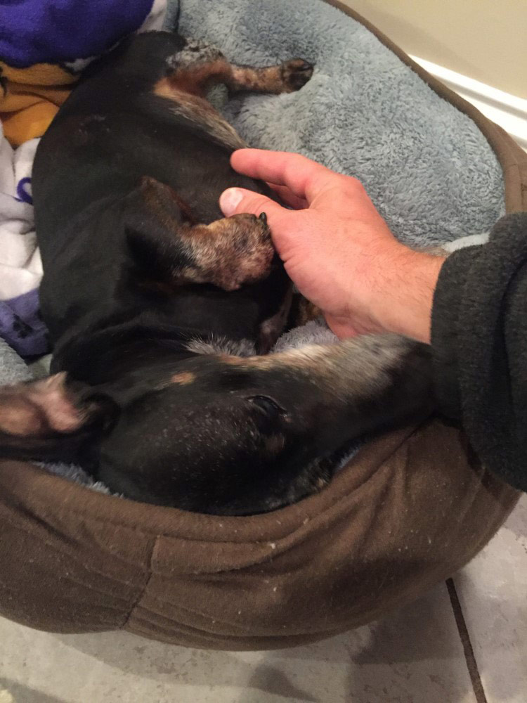 Second photo by Sophia Lorent of Latitude Moving services LLC - Large