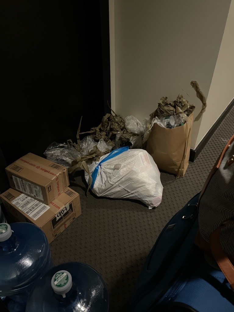 Second photo by Fiona Caplan of Dumbo Moving and Storage - Large