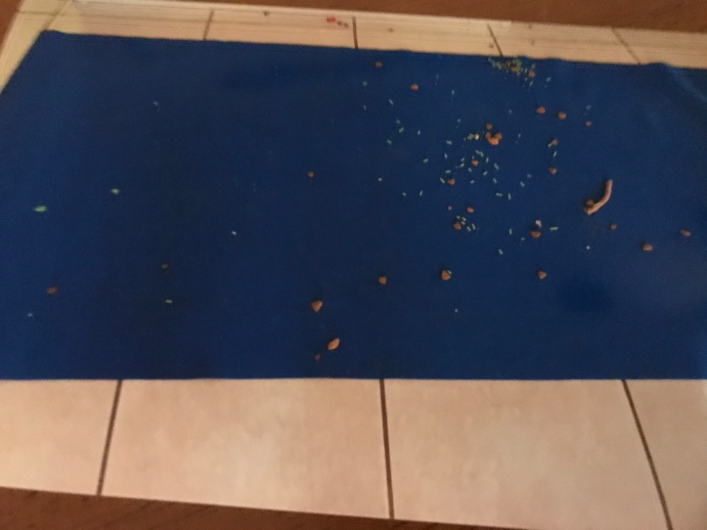 Photo by Peggy Kimble of S & M Relo LLC - Large