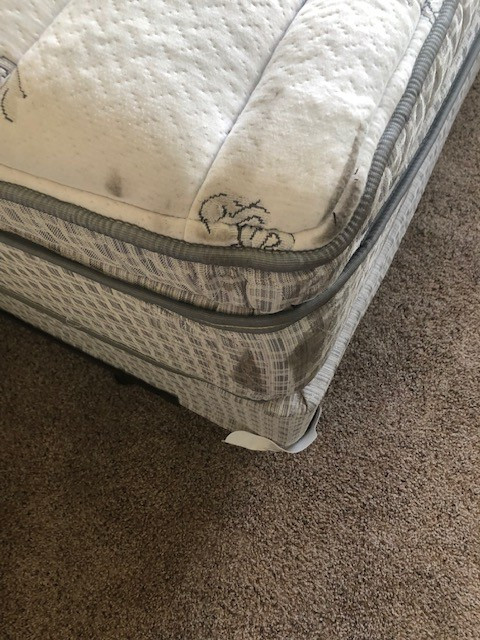 Second photo by Joanne Moeller of 1st Generation Moving - Large