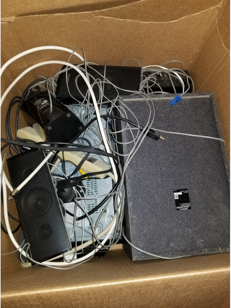 Photo by Dawn Shafer of Muscular Moving Men - Large